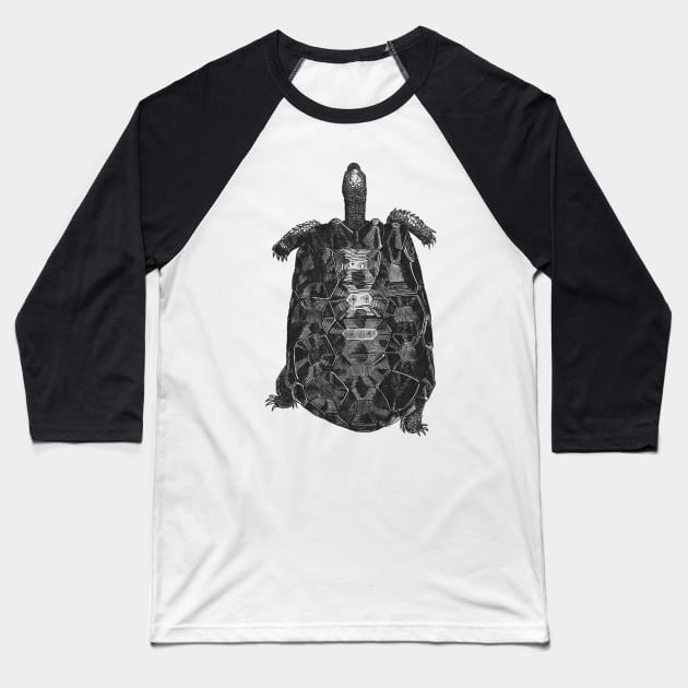 Tortoise Nature Drawing Baseball T-Shirt by KnuckleTonic